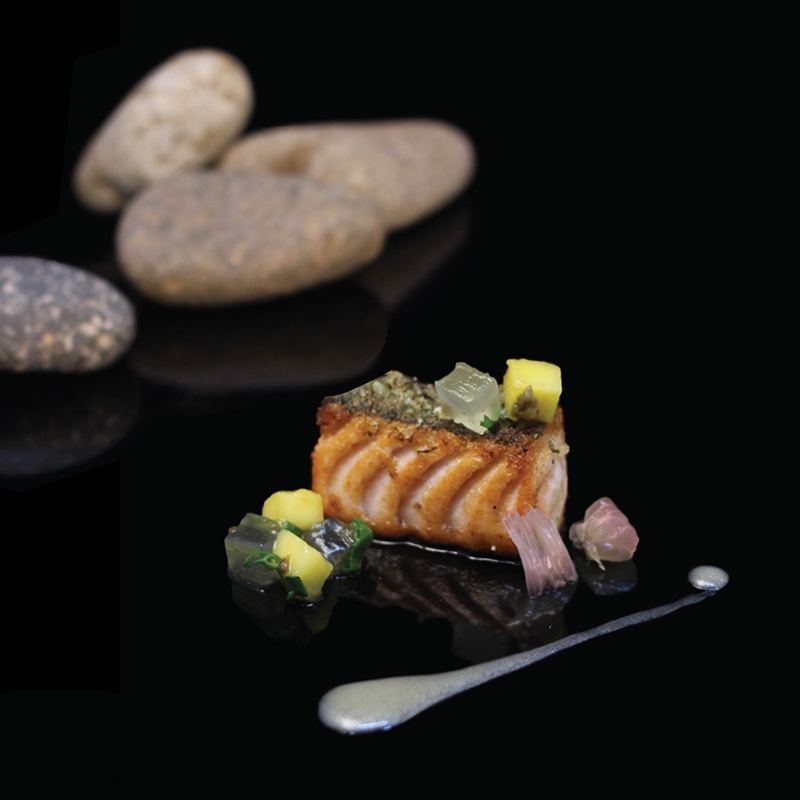 Salmon